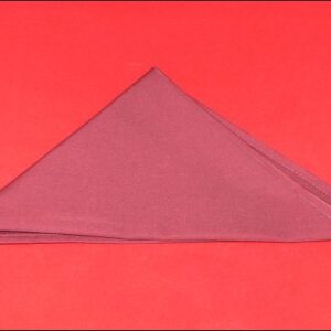 Платок шейный БОРДО /1/