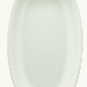 Блюдо овальное 340*190 мм. Белый 2 Чойс, форма Гурмэ Bonna /1/6/534/