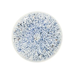 Mosaic Blue Тарелка 25см 1972 [6]