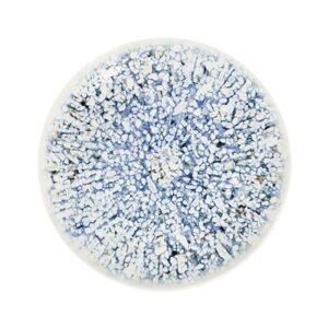 Mosaic Blue Тарелка 28см 1972 [6]