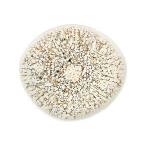 Mosaic Sand Pebble Тарелка 27см 1972 [6]