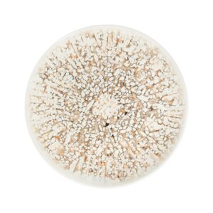 Mosaic Sand Тарелка 28см 1972 [6]