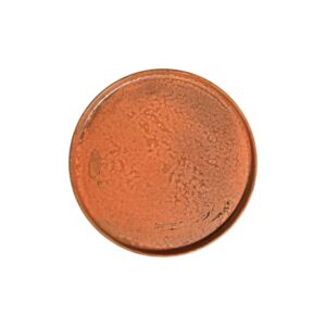 Fall Terra Тарелка с бортом 25,5см ID Fine [6]