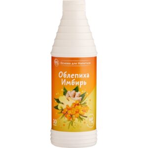 Облепиха-Имбирь, основа для напитков 1кг, ProffSyrup