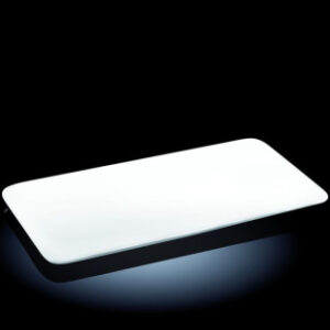 Блюдо прямоуг. 300*160 мм. Wilmax /3/18/